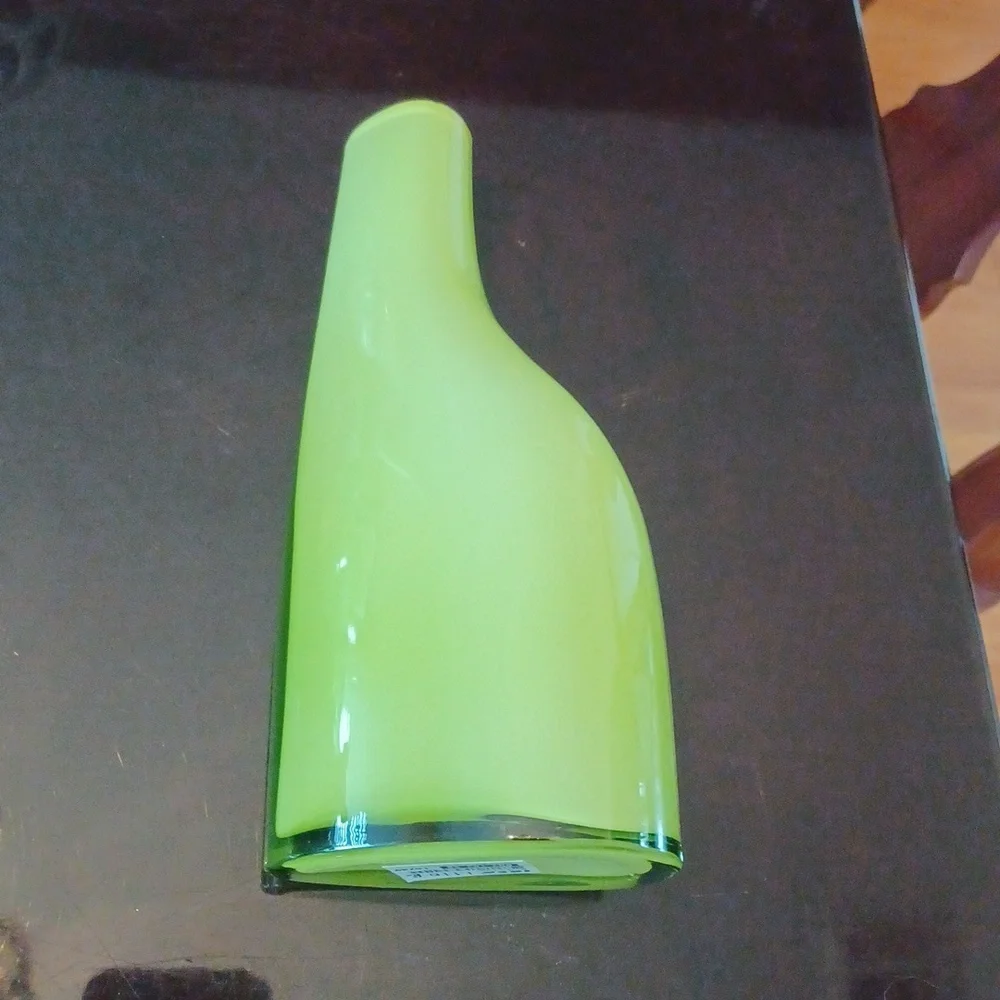 💚IKEA OKKSO green cased vase